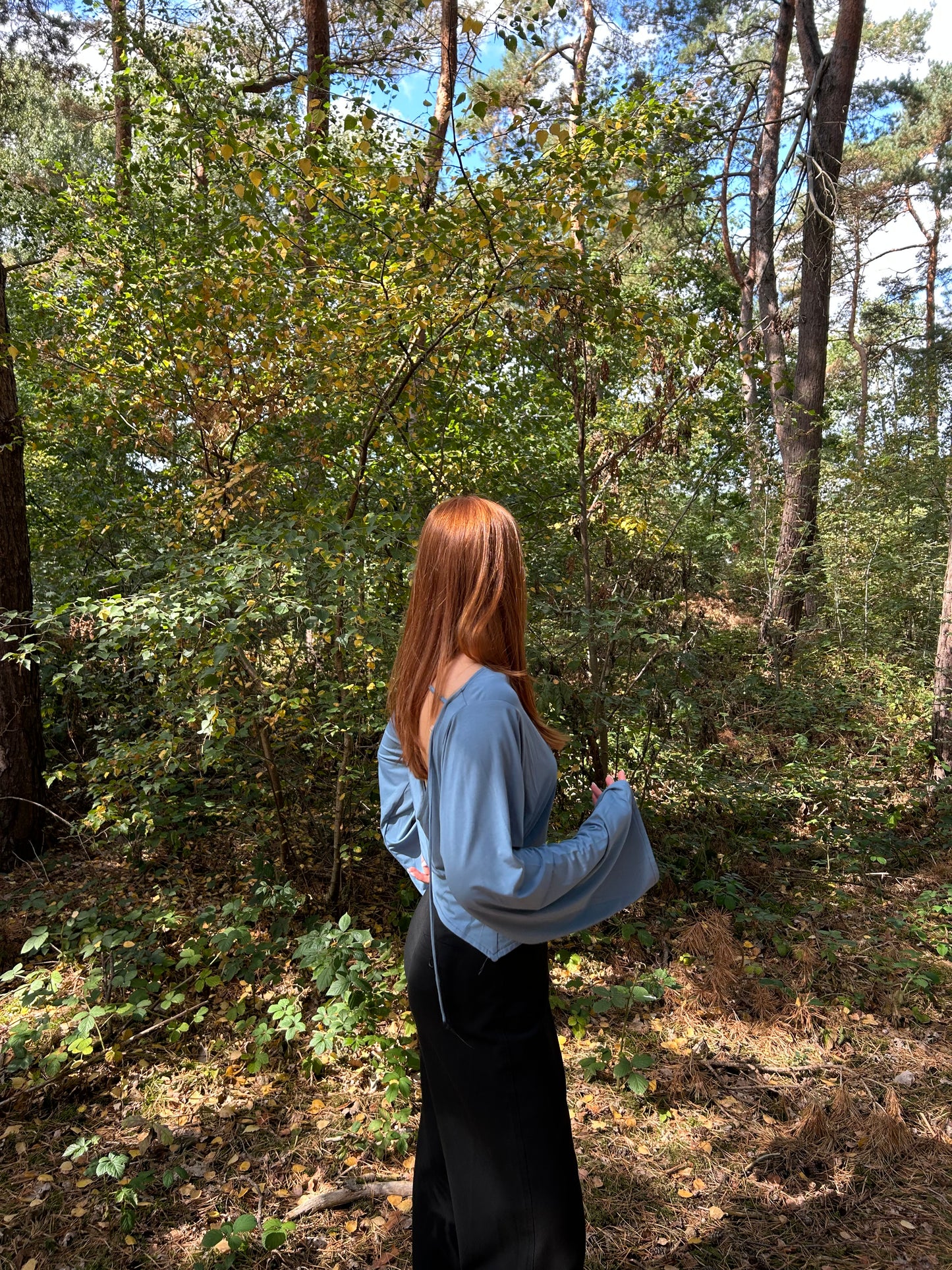 Top Wide Sleeves Tight Waist Blue